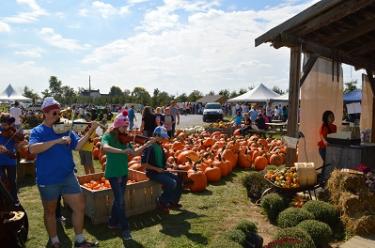 Beasley Heartland Apple Festival
