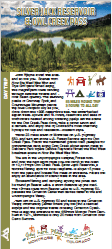 Owl Creek Pass brochure