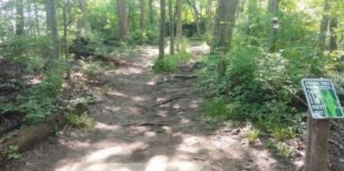 Forest Trail At Sycamore Trails In Miamisburg, OH