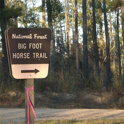 Sails, Trails, and Rails -- Mississippi Gulf Coast