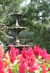 Ward Meade Park