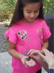 Bosque de Apache bird tagging