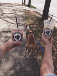 Rocko and Blackbird Coffee