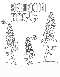Coloring Pages Amp More