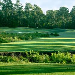 Discover Daytona Beach Golf Cypress Head