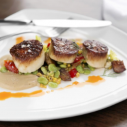 Copy of Scallops-Food