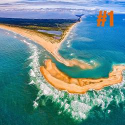 shelly island