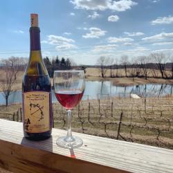 Winery at the Long Shot Farm