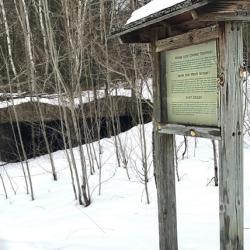 Interpretive Sign at Alligator Hill Trail