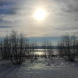 Winter Glen Arbor