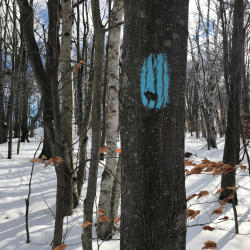 Trail Markings at Houdek Dunes