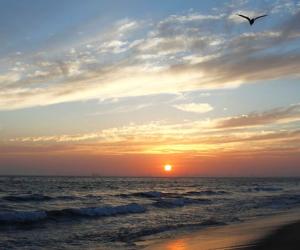Bolsa Chica | Huntington Beach Bolsa Chica State Beach RV Camping