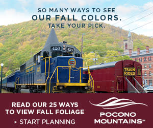 2019 Fall Marketing Campaign - Fall Foliage Online Banner Ad - Pocono Mountains Visitors Bureau