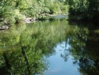 Rv Camping Near Charlottesville Va : 2020 Virginia Campgrounds Map Directory Wilderness Presidential Resort / Great south virginia beach resort w/800 foot sandy beach.