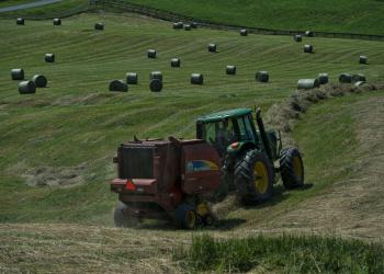 Douglas Graham Making Hay