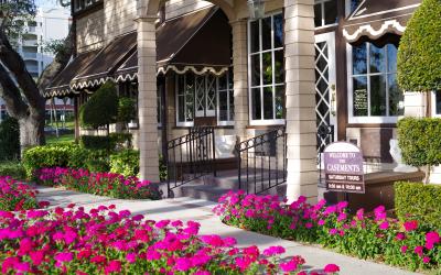 Daytona Beach Tours Sightseeing Attractions