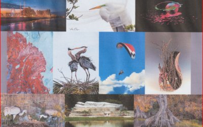 Daytona Beach Calendar Of Events 2022 Daytona Beach Calendar Of Events | Nightlife, Festivals & More