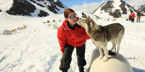 Dog Sledding Visit Anchorage