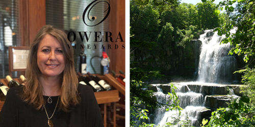 Dawn from Owera Vineyards recommends Chittenango Falls State Park