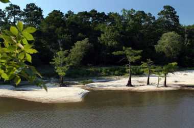 Beaumont Tx Hunting Fishing Locations Permit Information