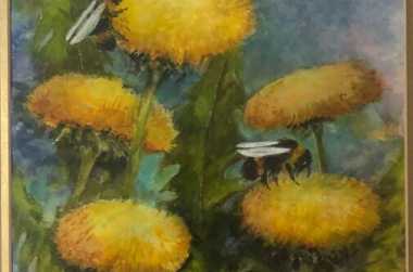 Eau Claire Calendar of Events | Find Upcoming Shows & Events