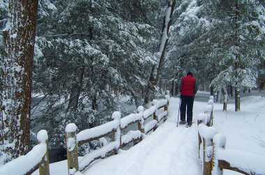 Winter In The Laurel Highlands Trails And Parks Activities