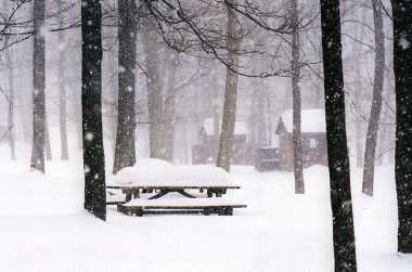 Winter In The Laurel Highlands Trails And Parks Activities
