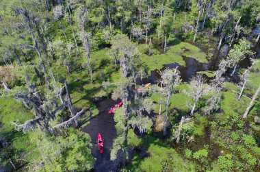 Swamp Tour New Orleans >> New Orleans Swamp Tours New Orleans Swamp Tour New Orleans >> New Orleans Swamp Tours New Orleans