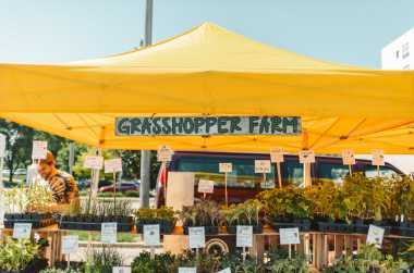 Farmers Market