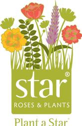 Plant a Star