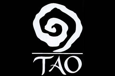 Tao Studio Tour