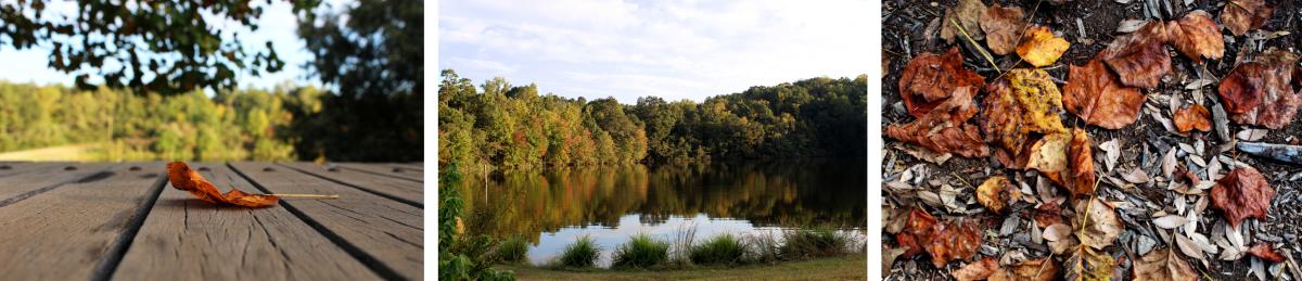 lake herrick