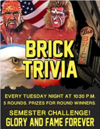 The Brick Trivia