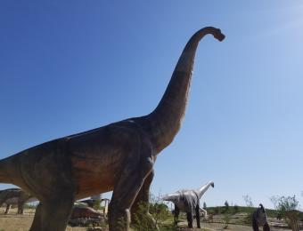 Dinosaurs on the Plains