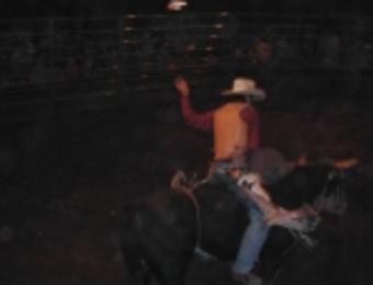 Club Rodeo Bull Rider Visit Wichita