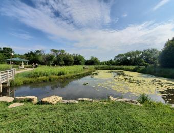 Chisholm Creek Park 2