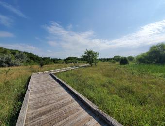 Chisholm Creek Park 3