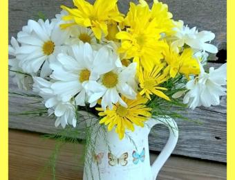 Pretty Bouquet of Daisies