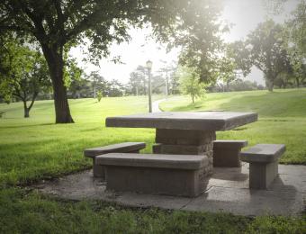 Fairmount Park Picnic Table