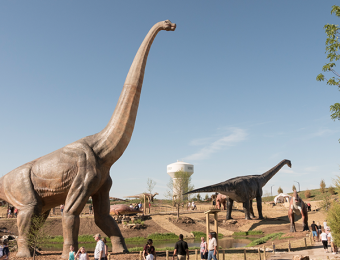 Derby Dinosaurs Visit Wichita