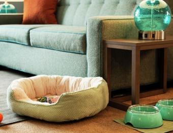 Home2Suites by Hilton Pets