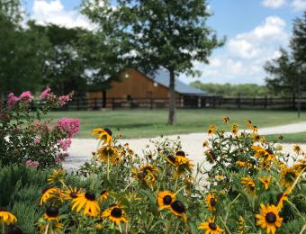 View of the Old Goat Barn from a Table at the Patio
