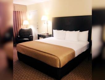 Clarion King Room Visit Wichita