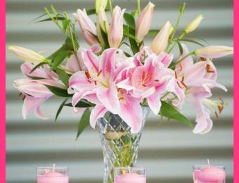 Pink Passion Lilies