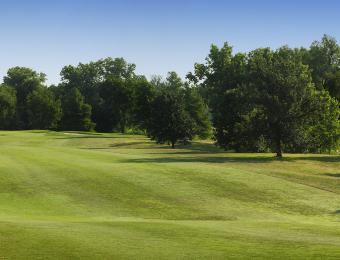 MacDonald Golf Course Hills and Trees