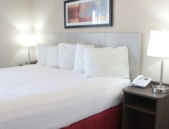One Bedroom
