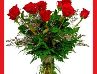 Gorgeous Red Roses