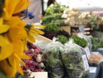 OT Farmer's Market sunflowers Visit Wichita