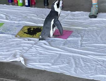 Tanganyika Penguin Painting