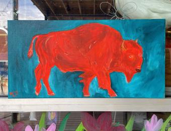 The Loud Cicade Buffalo